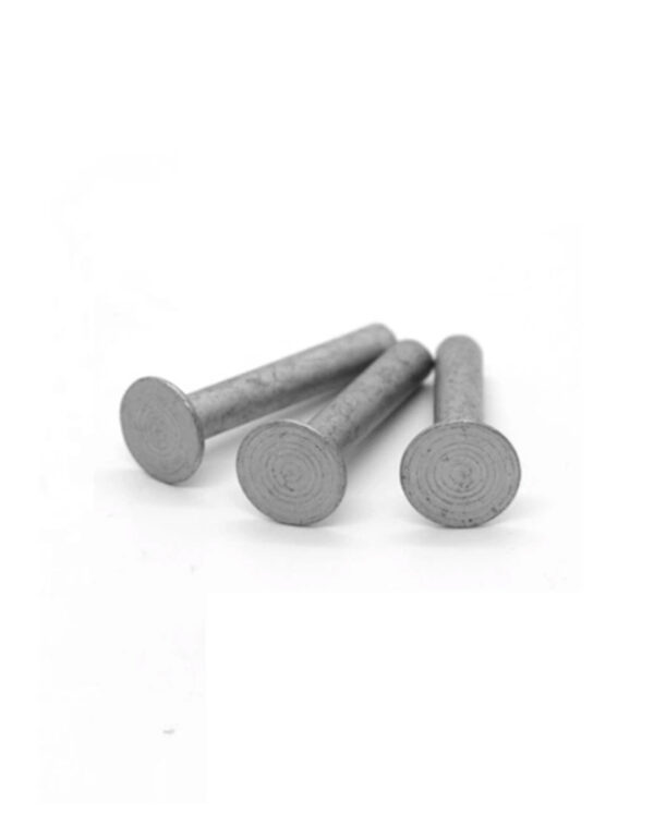 Perno Anclaje Fijación Cabeza Lisa Inoxidable