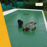 Cubrepileta Cobertor Piscina Lona Microperforada Medida Estándar - Imagen 2